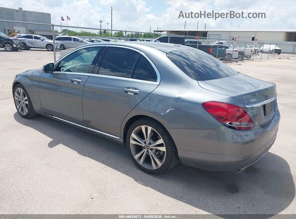 55SWF4JB9JU269647 2018 MERCEDES-BENZ C-CLASS Gray უკანა მარცხენა