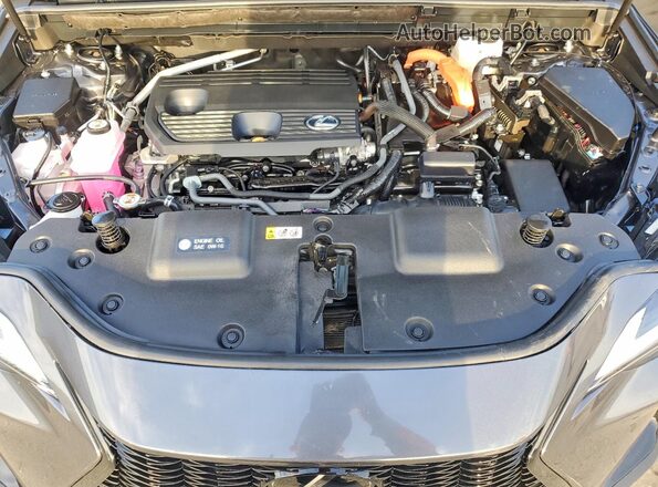 2T2GKCEZ7SC041067 2025 LEXUS NX Gray Widok naklejki z numerem VIN