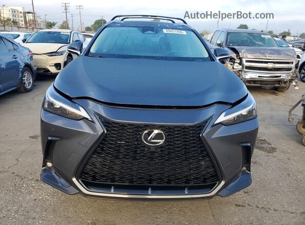 2T2GKCEZ7SC041067 2025 LEXUS NX Gray Widok z tyłu
