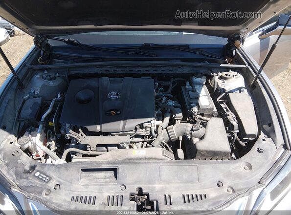 58AD11D19MU005403 2021 LEXUS ES 250 Gray Rear view