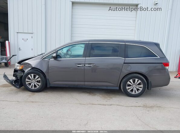 5FNRL5H34GB031838 2016 HONDA ODYSSEY Brown 360 interior view