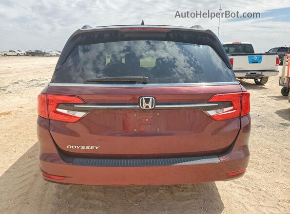 5FNRL6H50MB003084 2021 HONDA ODYSSEY Burgundy Вид ззаду