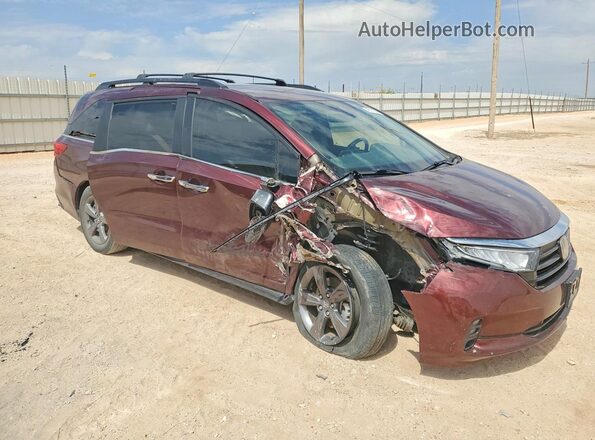 5FNRL6H50MB003084 2021 HONDA ODYSSEY Burgundy Передня права чверть