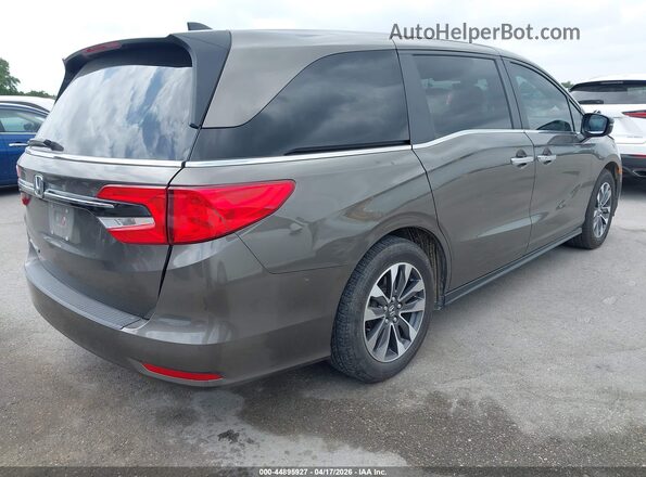 5FNRL6H60PB019007 2023 HONDA ODYSSEY Gray Հետևի աջ