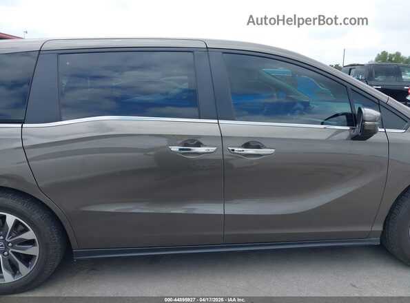 5FNRL6H60PB019007 2023 HONDA ODYSSEY Gray Սալոնի հետևի տեսք
