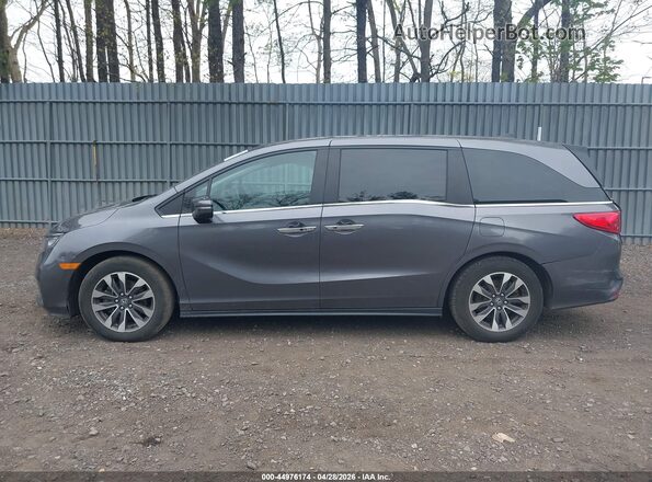 5FNRL6H63RB075848 2024 HONDA ODYSSEY Gray 360 interior view