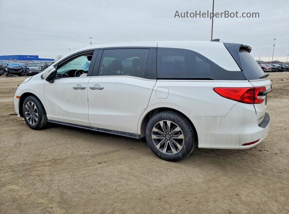 5FNRL6H64RB073199 2024 HONDA ODYSSEY White უკანა მარცხენა