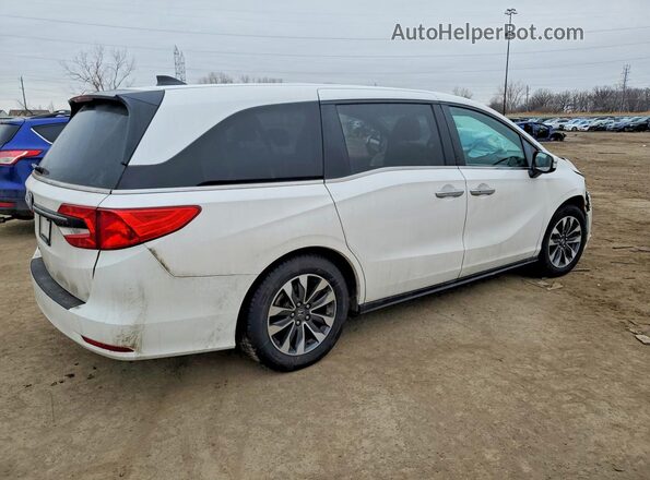 5FNRL6H64RB073199 2024 HONDA ODYSSEY White უკანა მარჯვენა