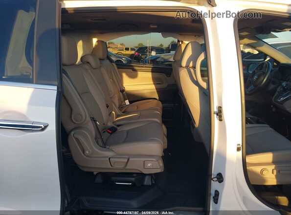 5FNRL6H6XPB073205 2023 HONDA ODYSSEY White VIN կոդի պիտակի տեսք