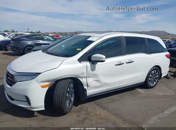 5FNRL6H6XPB073205 2023 HONDA ODYSSEY White Դիմացի տեսք