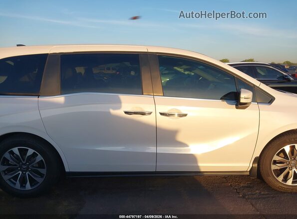 5FNRL6H6XPB073205 2023 HONDA ODYSSEY White Սալոնի հետևի տեսք