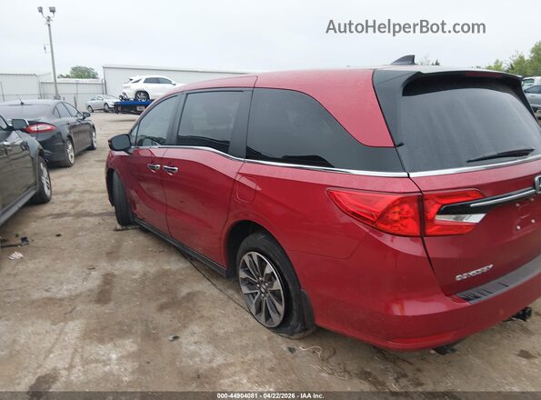 5FNRL6H6XRB065527 2024 HONDA ODYSSEY Red Задня ліва чверть
