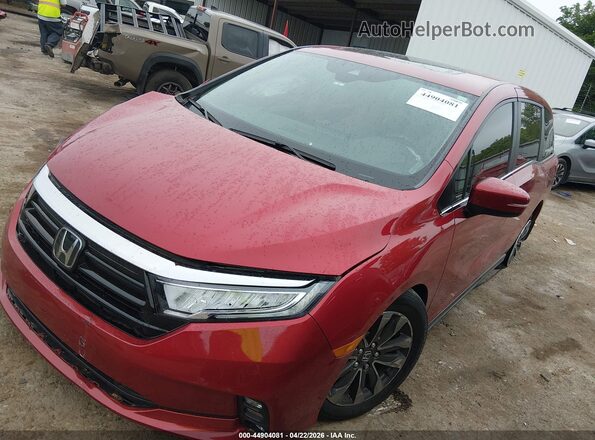 5FNRL6H6XRB065527 2024 HONDA ODYSSEY Red Передня ліва чверть