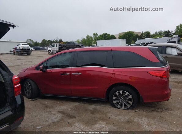 5FNRL6H6XRB065527 2024 HONDA ODYSSEY Red 