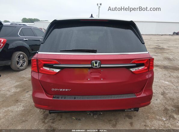 5FNRL6H6XRB065527 2024 HONDA ODYSSEY Red 