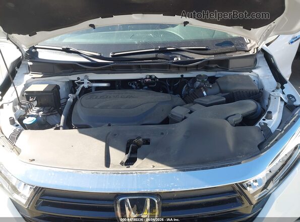 5FNRL6H6XRB069223 2024 HONDA ODYSSEY White Вид ззаду