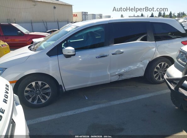 5FNRL6H6XRB069223 2024 HONDA ODYSSEY White 