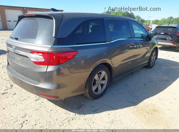 5FNRL6H70KB093772 2019 HONDA ODYSSEY Gray Հետևի աջ
