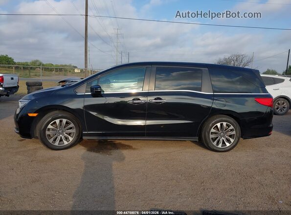 5FNRL6H70NB010703 2022 HONDA ODYSSEY Black 