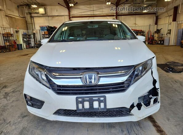 5FNRL6H72KB097435 2019 HONDA ODYSSEY White Front view