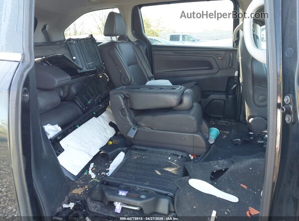 5FNRL6H72LB067840 2020 HONDA ODYSSEY Черный Вид наклейки с VIN-кодом