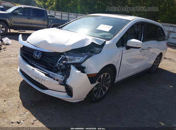 5FNRL6H72MB032314 2021 HONDA ODYSSEY Белый Передняя левая четверть
