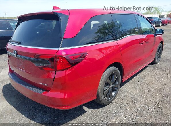 5FNRL6H72PB024900 2023 HONDA ODYSSEY Red უკანა მარჯვენა