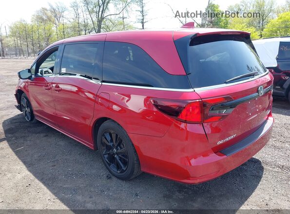 5FNRL6H72PB024900 2023 HONDA ODYSSEY Red უკანა მარცხენა