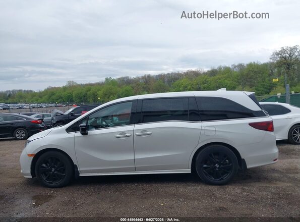 5FNRL6H74PB001828 2023 HONDA ODYSSEY White Панорамний вид салону 360°