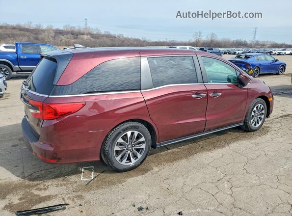 5FNRL6H75MB016253 2021 HONDA ODYSSEY Burgundy Tył prawy