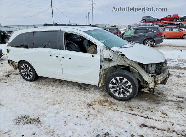 5FNRL6H75MB037832 2021 HONDA ODYSSEY White წინა მარჯვენა
