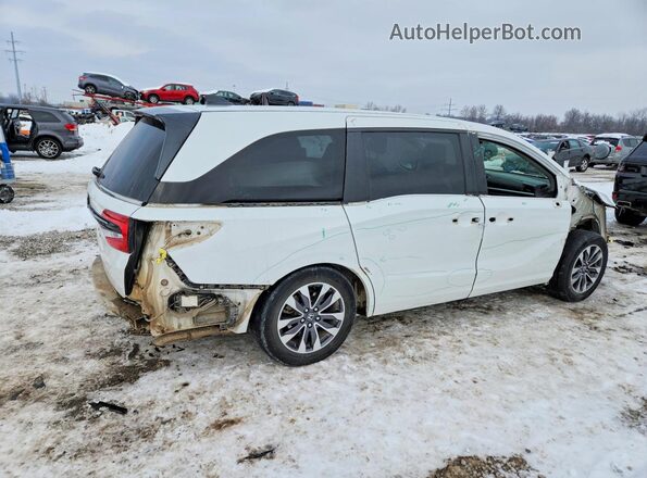 5FNRL6H75MB037832 2021 HONDA ODYSSEY White უკანა მარჯვენა