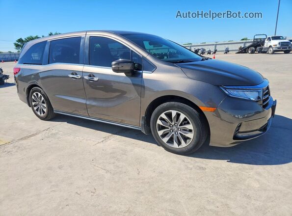 5FNRL6H76MB023065 2021 HONDA ODYSSEY Charcoal Front right