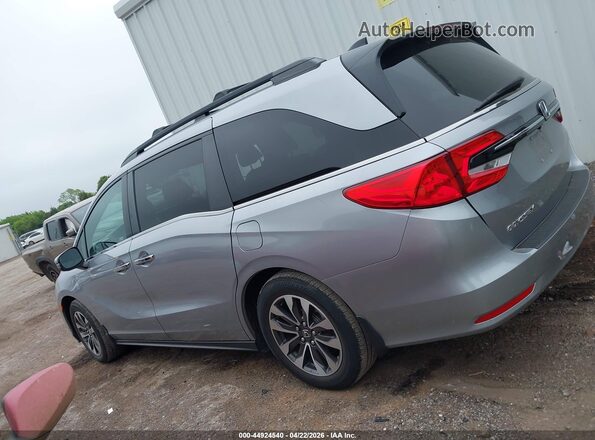 5FNRL6H77MB003780 2021 HONDA ODYSSEY Silver Widok wnętrza 360 stopni