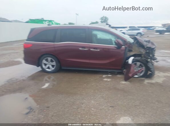 5FNRL6H78KB124590 2019 HONDA ODYSSEY Бордовый 