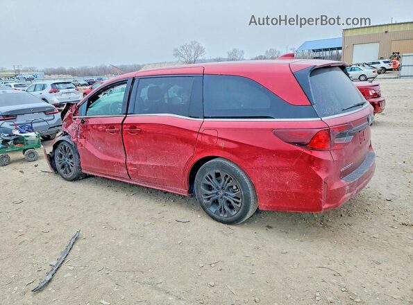 5FNRL6H78SB045372 2025 HONDA ODYSSEY Красный Задняя левая четверть