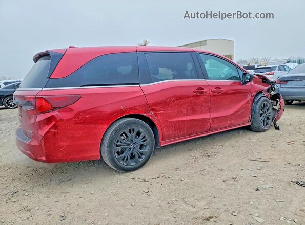 5FNRL6H78SB045372 2025 HONDA ODYSSEY Красный Задняя правая четверть