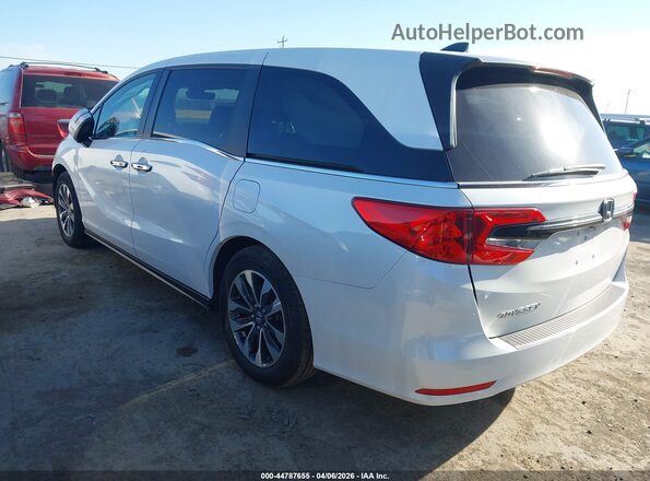 5FNRL6H7XNB006982 2022 HONDA ODYSSEY White Задня ліва чверть