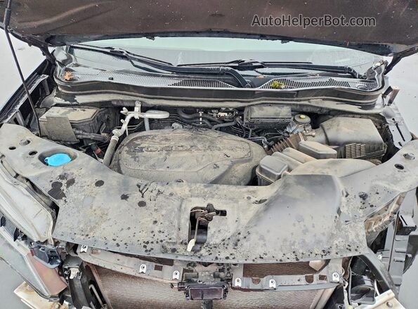 5FNYF6H26MB057630 2021 HONDA PILOT Gray Սալոնի հետևի տեսք