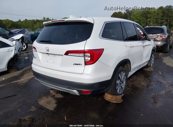 5FNYF6H57MB006759 2021 HONDA PILOT White Tył prawy