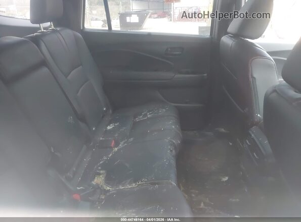 5FNYF8H64SB015002 2025 HONDA PASSPORT White VIN կոդի պիտակի տեսք