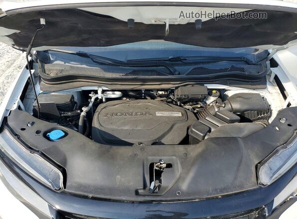 5FNYF8H94KB024597 2019 HONDA PASSPORT White 