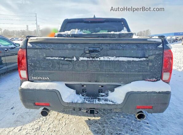 5FPYK3F13RB019565 2024 HONDA RIDGELINE Black Вид ззаду