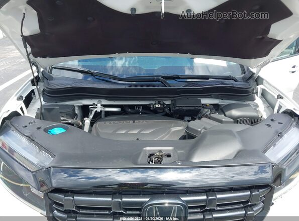 5FPYK3F16RB025375 2024 HONDA RIDGELINE White 