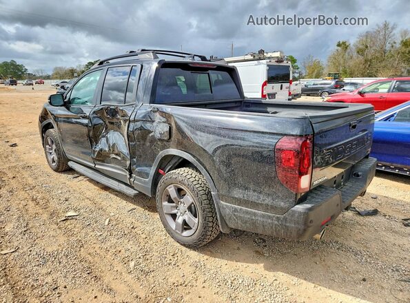 5FPYK3F68RB001977 2024 HONDA RIDGELINE Black Tył lewy