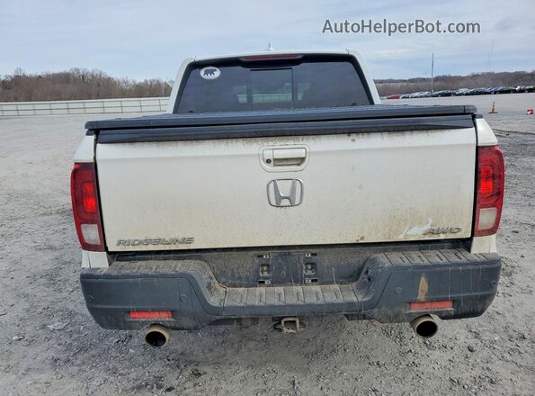 5FPYK3F77MB008629 2021 HONDA RIDGELINE White Rear view