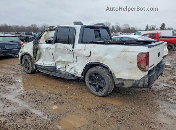 5FPYK3F86MB009750 2021 HONDA RIDGELINE White Հետևի ձախ