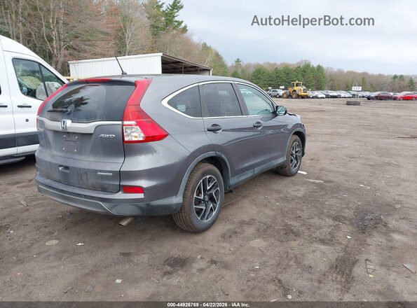 5J6RM4H41GL115980 2016 HONDA CR-V Серый Задняя правая четверть
