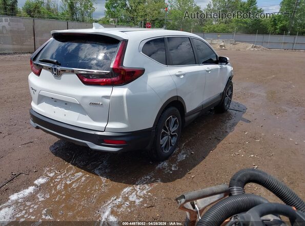 5J6RW2H82LL039083 2020 HONDA CR-V White Հետևի աջ