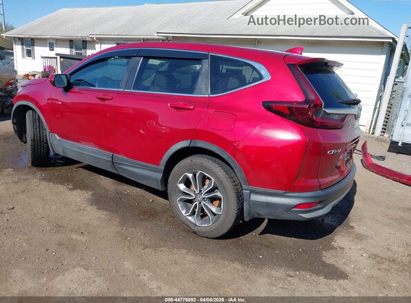5J6RW2H89LL012799 2020 HONDA CR-V Red Задня ліва чверть